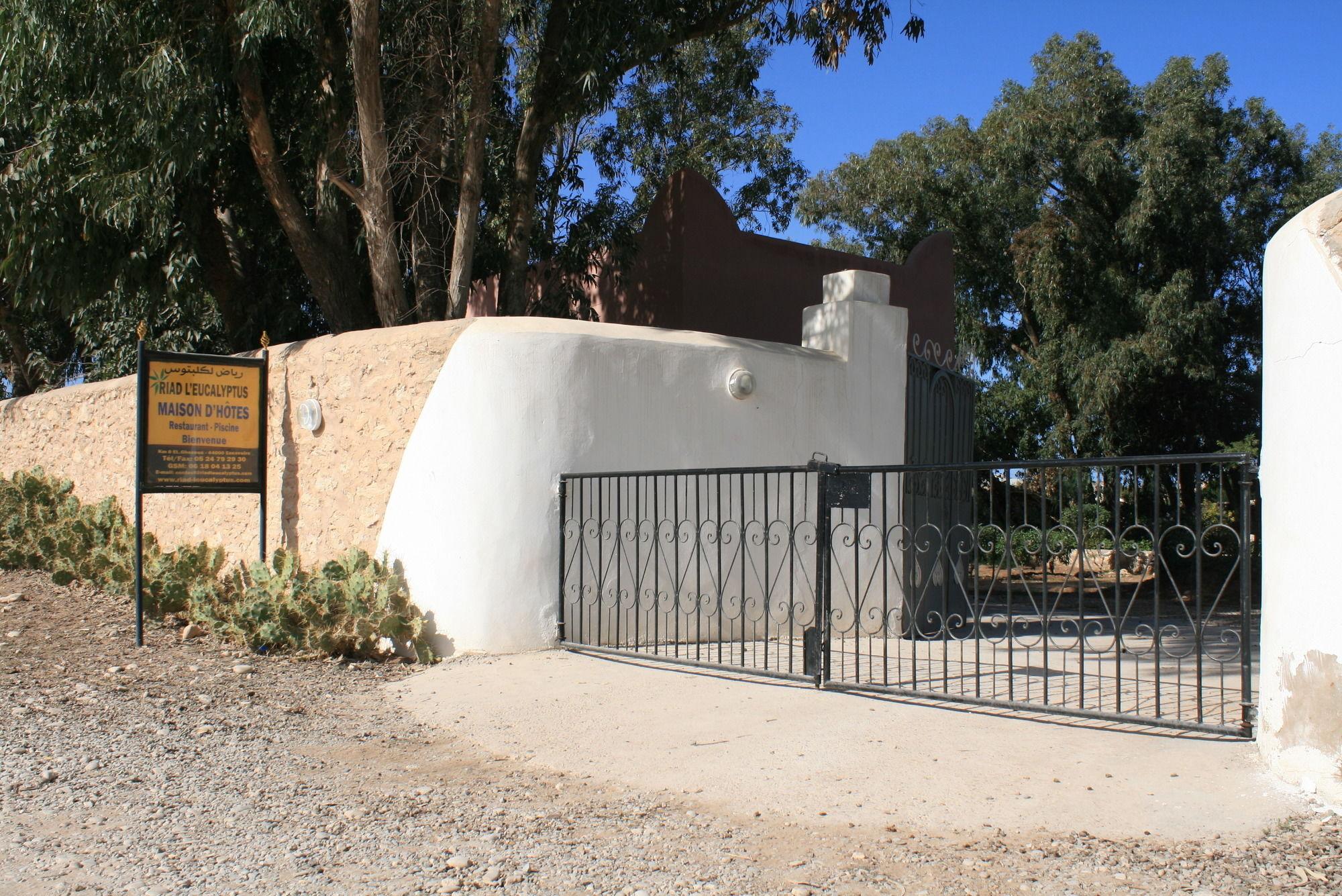 Riad Eucalyptus Essaouira Exterior foto