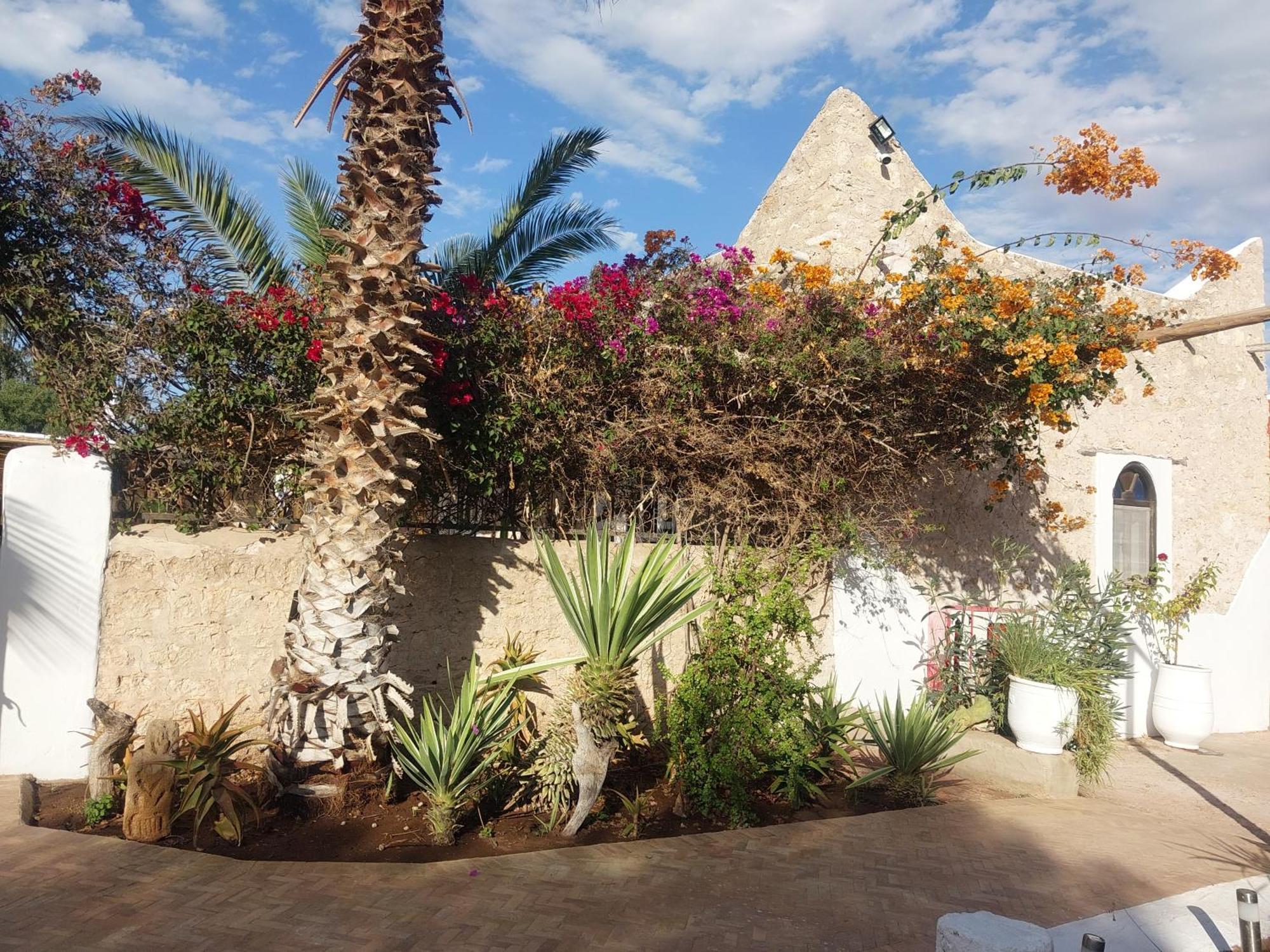 Riad Eucalyptus Essaouira Exterior foto