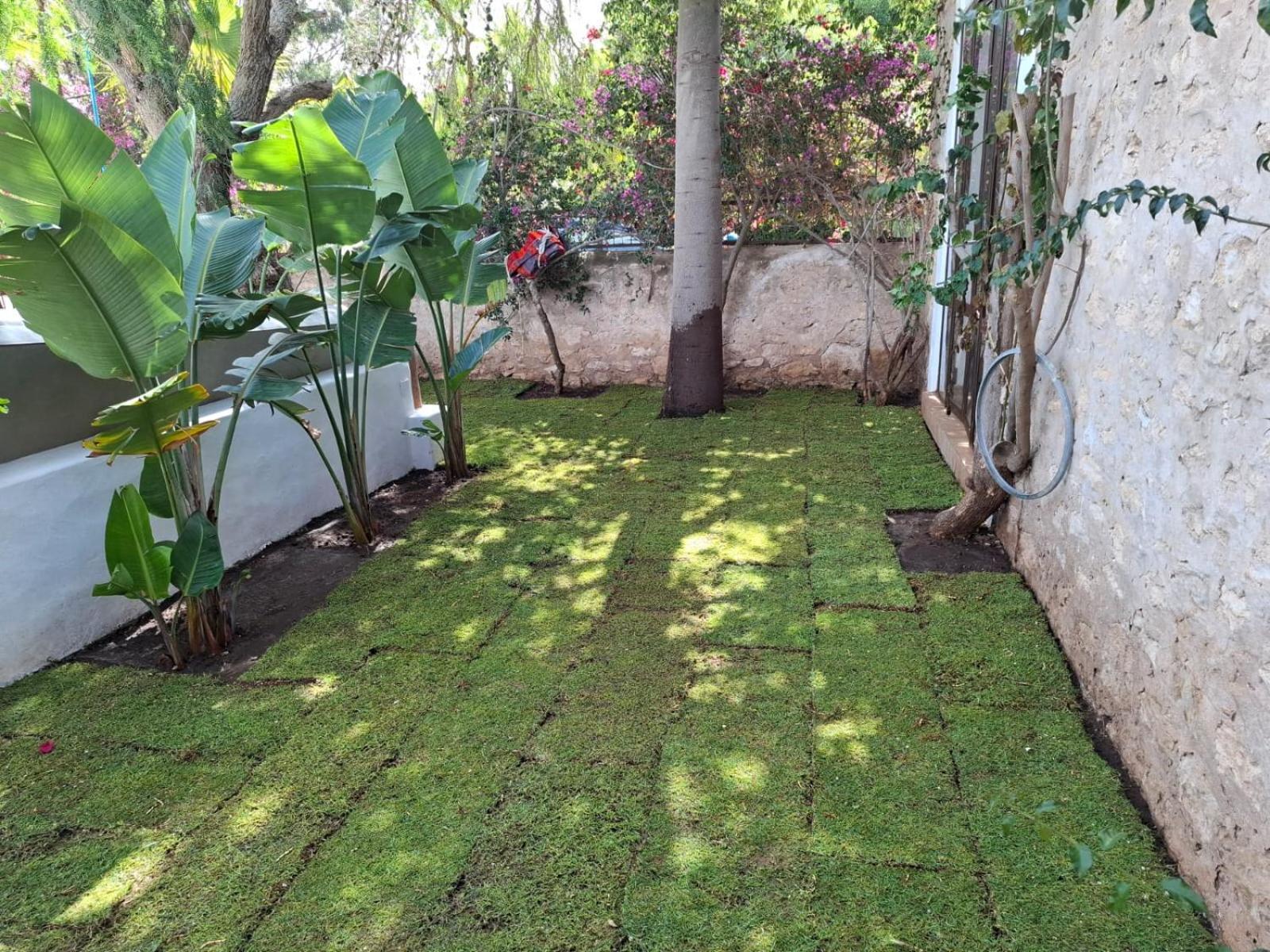 Riad Eucalyptus Essaouira Exterior foto